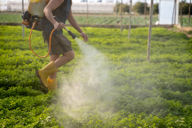 Best Pest Inspection Near Me  in Lafayette, OR