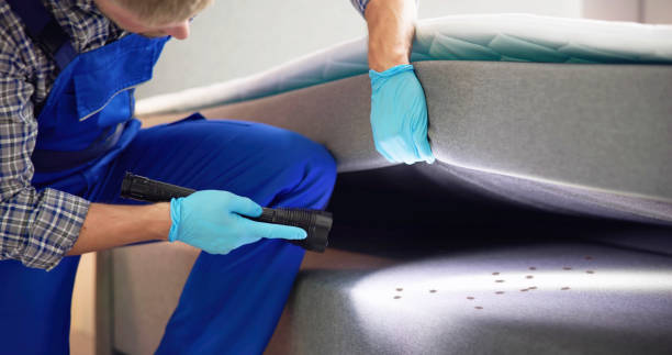 Best Pest Control for Homes  in Lafayette, OR