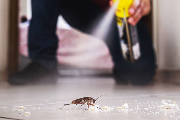 Reliable Lafayette, OR Pest Control Solutions