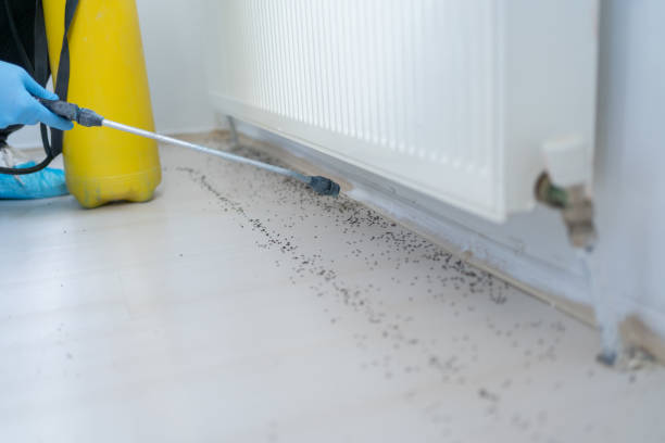 Best Pest Inspection Near Me  in Lafayette, OR