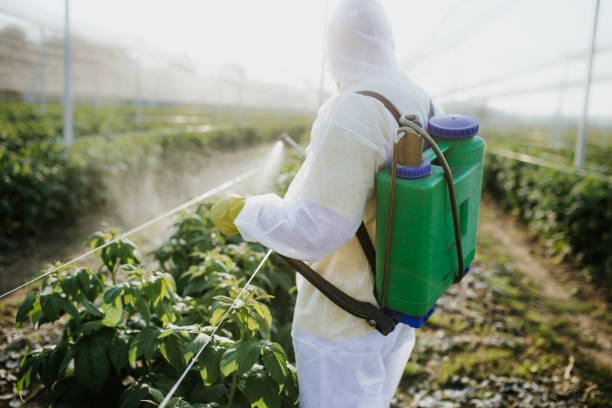 Best Affordable Pest Control Services  in Lafayette, OR